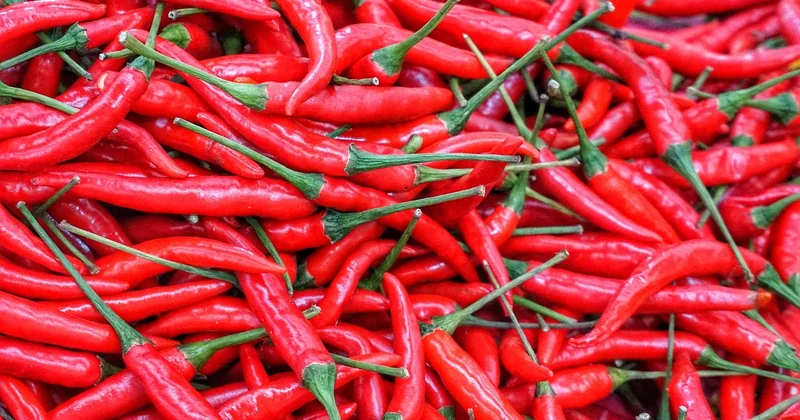 Batch cooking et congélation : ce que j'ai appris en ratant plusieurs plats