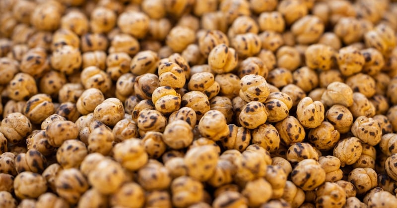 15 recettes végétariennes à base de lentilles et pois chiches