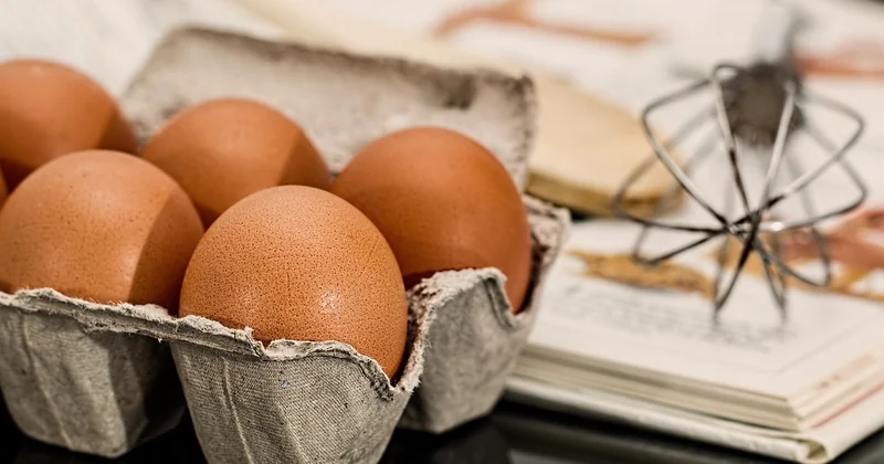 Quel bon site pour une recette végétarienne le soir ?
